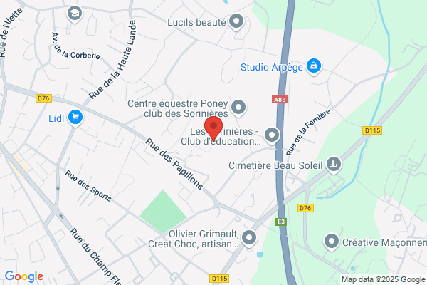 Elan Des Sorinieres