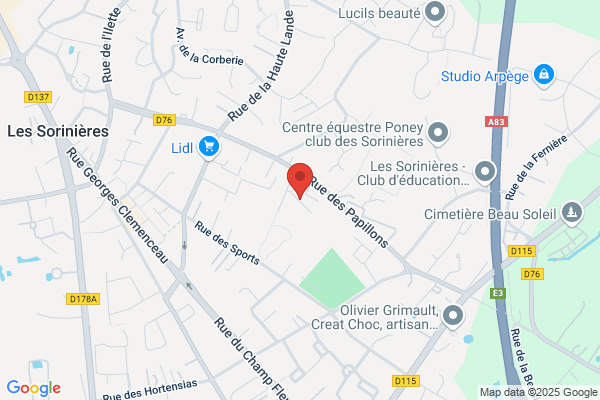 Elan Judo Club Des Sorinieres