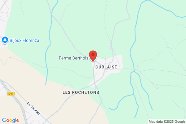 Berthois Pierre