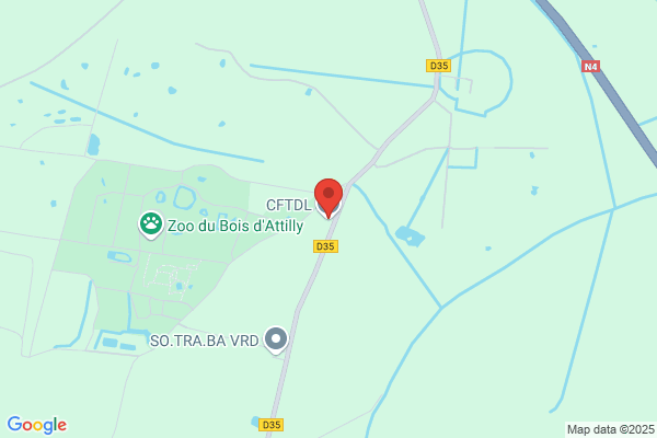 Cftdl