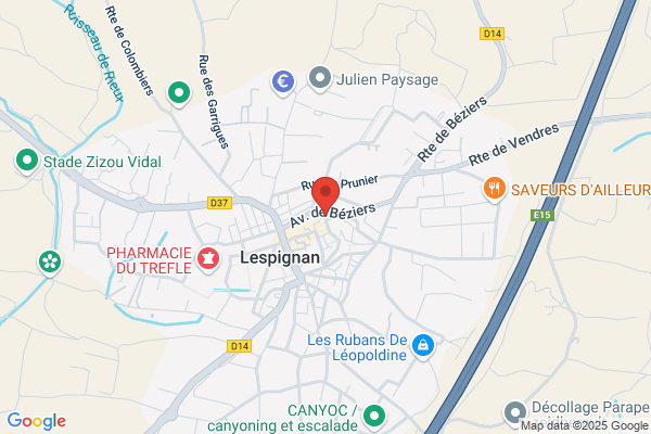 Anpe Ligne Informatique