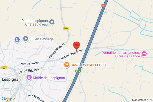Camman Michel