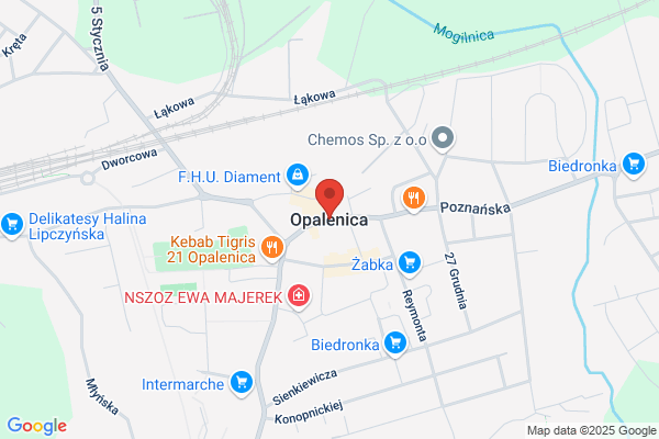 Opaliza