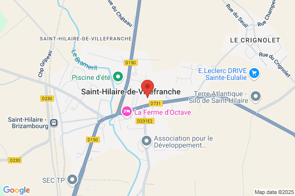Guyon Michel