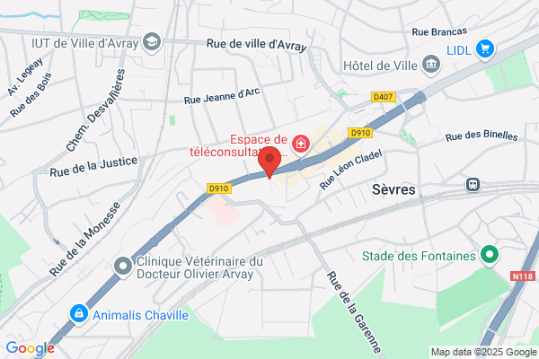 Carte Rive Gauche