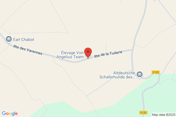 Berger Anne Allemand Angl Vers Francais