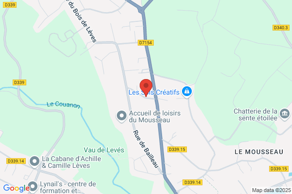 Le grenier de Louise- Brocante