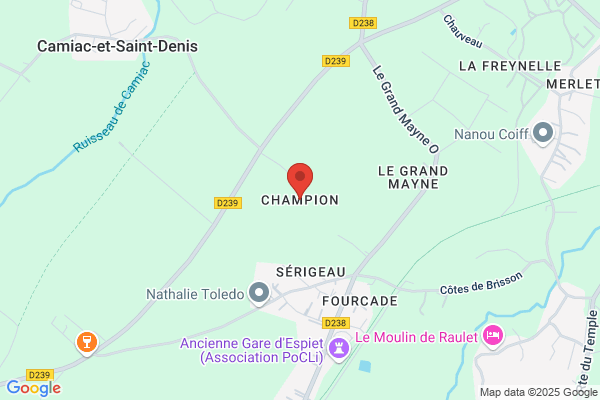 Champion