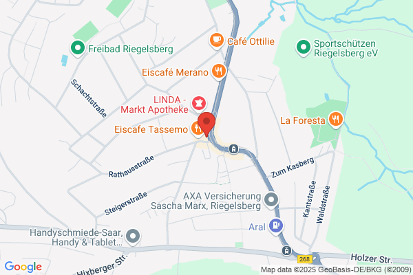 LA CEBOLLA