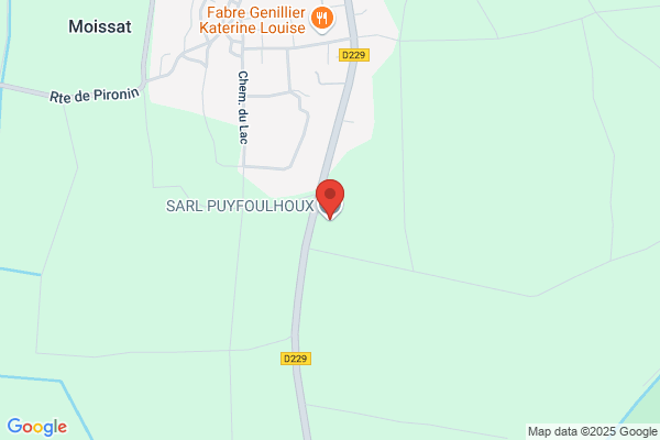 PUYFOULHOUX