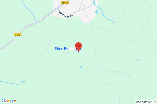 Eden Bloom
