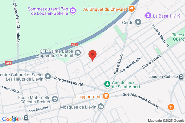 ACTION ET RECHERCHE SOCIALE