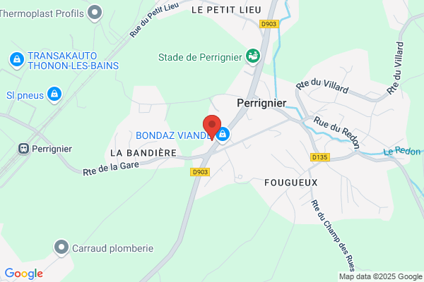 Citroen Garage Bedier Agent