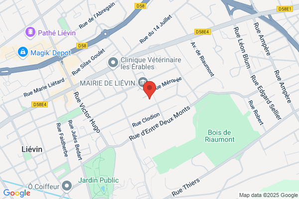Centre Animation Jeunesse