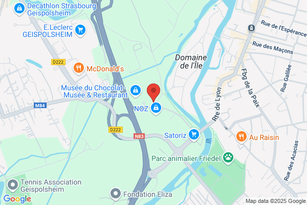 Brgm Service Geologique Regional