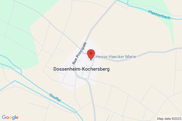 Hesse Haecker Marie Jose