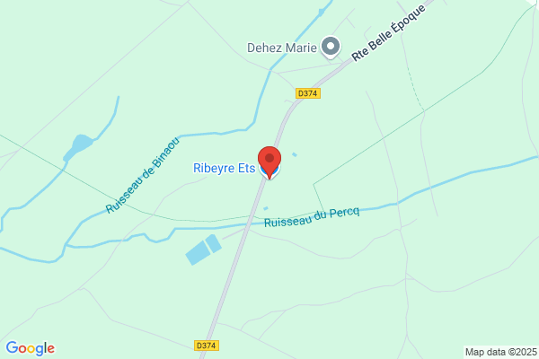 RIBEIRO FRÉDÉRIC ETS