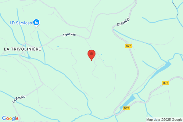 Cretel Patrice