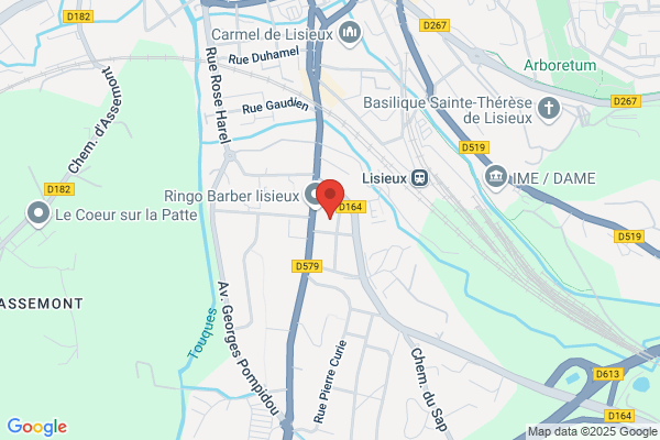 Mosquet Électricité