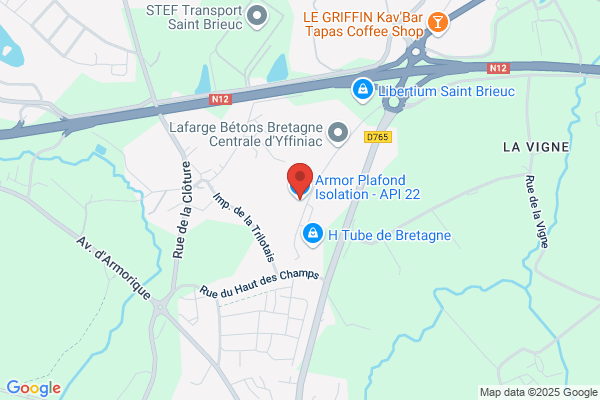Api Agencements Plafonds Suspendus Insonorisation