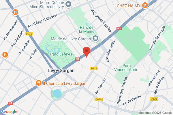 Appel Borne Taxis Municipaux
