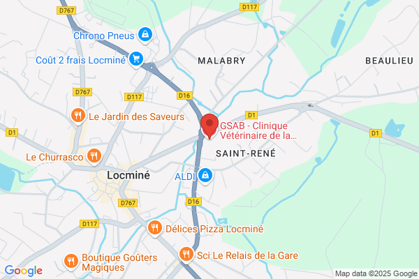 GSAB - Clinique Vétérinaire de la Maillette - Locminé