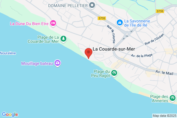 Ecole De Voile Les Dauphins