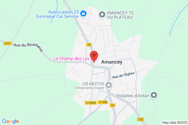le champ des lys