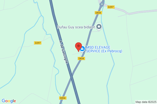 Garage De L Avenir