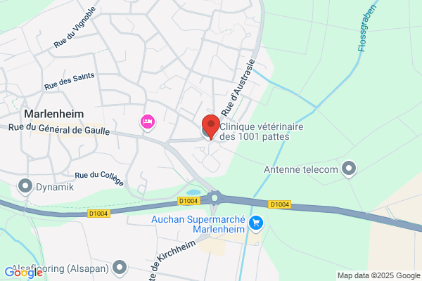Bridoux Docteur Veterinaire