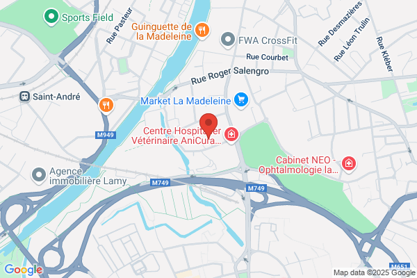 Association Des Curateurs De Lille Acl