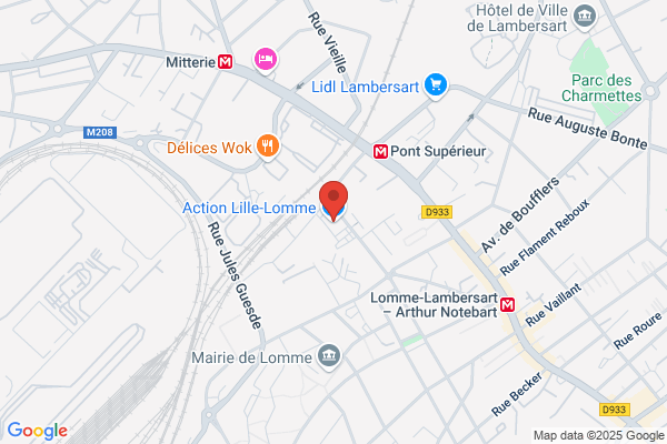 Action Lille-Lomme