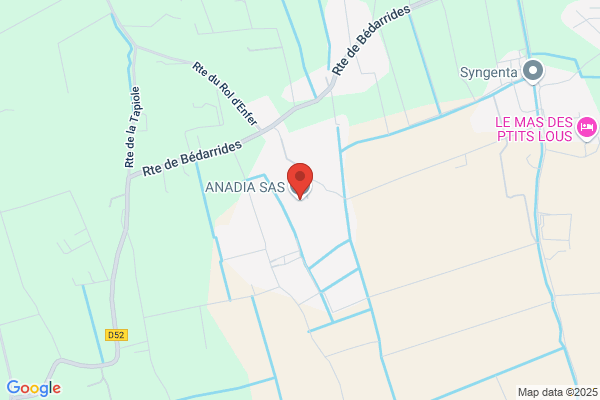 Anadia