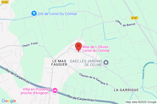 Du Pin De Saint Andre Olivier
