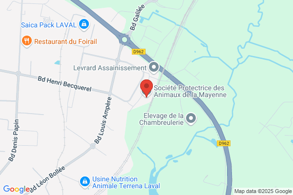 Association Enfance Et Familles D Adoption De la mayenne