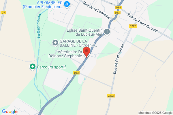 Dr Delnooz Vétérinaire