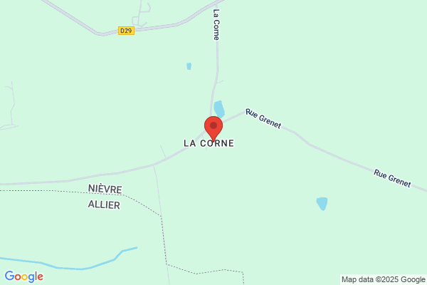 Clinique Veterinaire Wyndaele