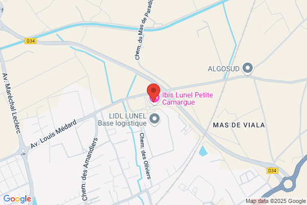 Ibis Lunel Petite Camargue