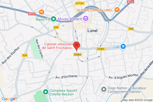 France Pare-Brise LUNEL