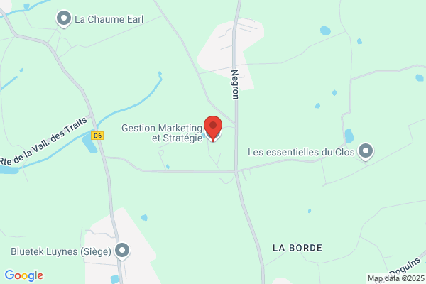 Gestion Marketing et Strategie