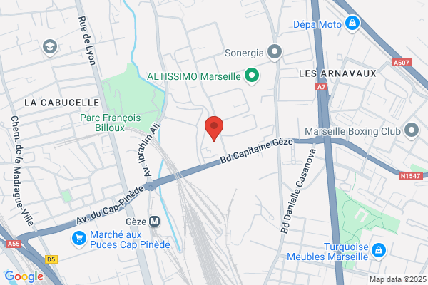 Detection Systems France