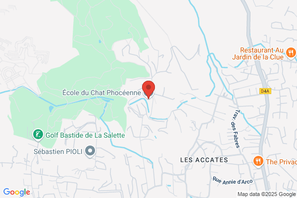 Ecole Du Chat Phoceenne