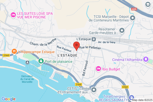 Asnit Association Nationale Internationale Tzigane