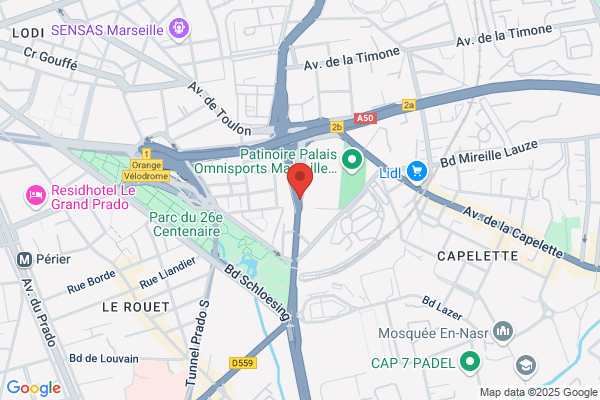 Dames De La Providence