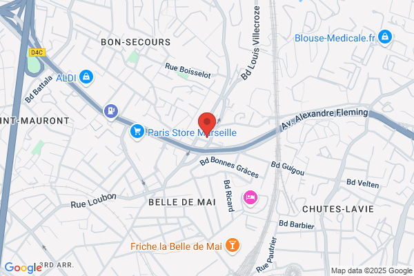 Ecf L Ecole De Conduite Francaise Adherent