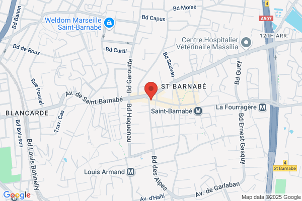 Nicolas Marseille Montaigne