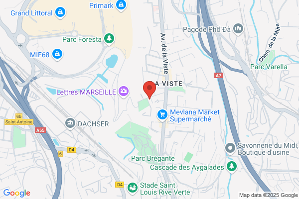 Activite Assainissement Et De Desinfection