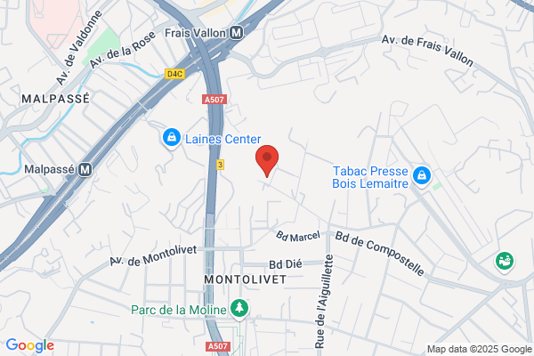 Carmel Notre Dame