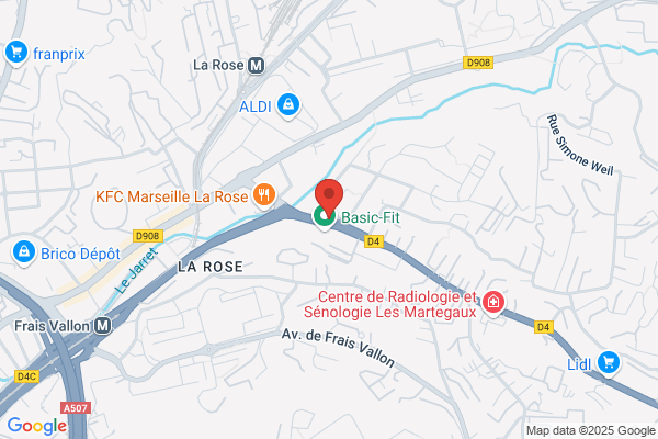 Centre Animation Communautaire De La Rose