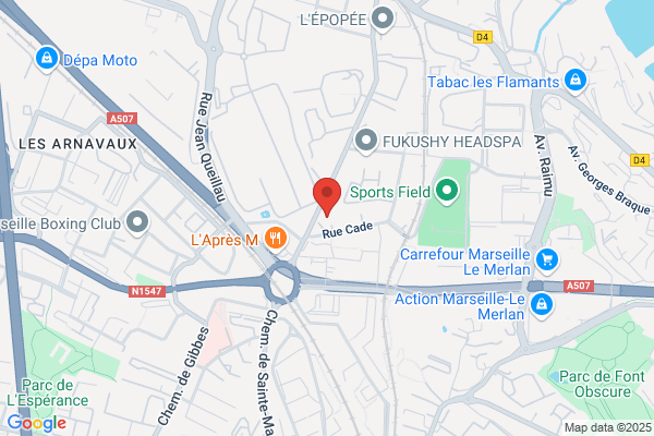 Auto Bilan Tema